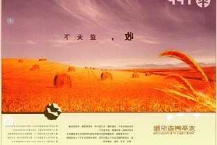 业绩爆表!全球芯片“代工之王”台积电再创纪录,1年营收超3600亿!苹果
