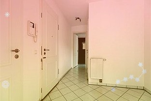 盈建科:公司业务开展不会因房地产调控政策发生明显变化