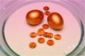 创维数字:“十四五”数字经济发展规划对公司影响尚无法预估