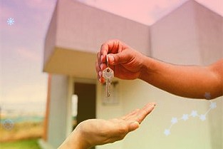“保险+期货”为农民稳收增收保“价”护航